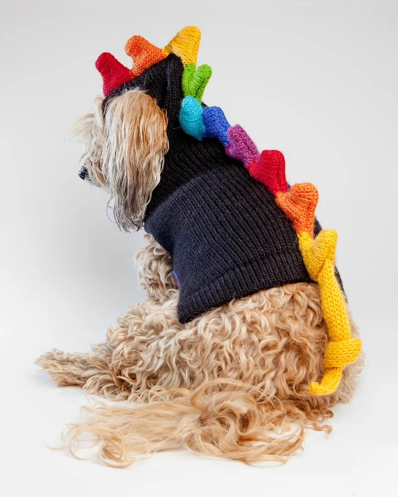 Rainbow Dragon Handknit Dog Sweater w/ Hood