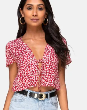 Vaco Blouse in Ditsy Red Rose and Silver